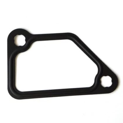 Gasket, Thermostat